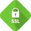 ssl icon